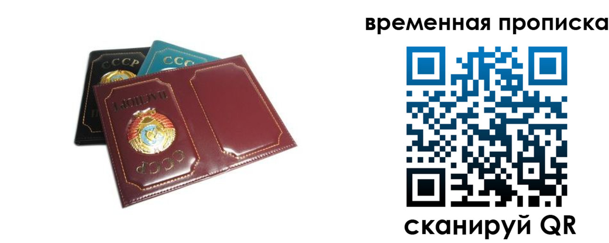 прописка 2025 в Мурино